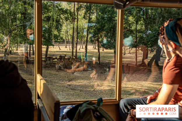 Photos du Dîner Safari du Zoo de Thoiry, camion