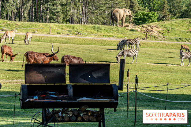 Photos du Dîner Safari du Zoo de Thoiry
