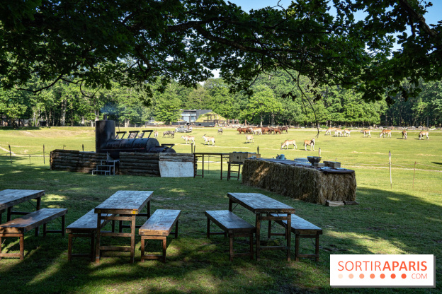 Photos du Dîner Safari du Zoo de Thoiry