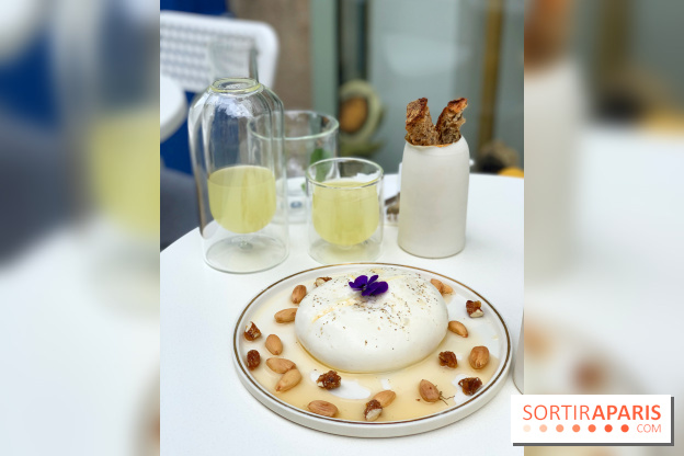 Maison Gazelle - été 2020