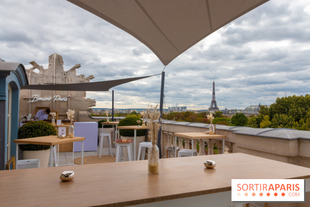 Le Rooftop secret de l'Hôtel de Crillon 