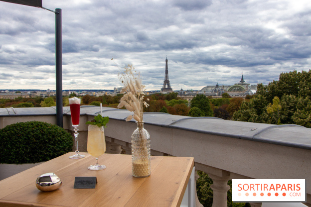 Le Rooftop secret de l'Hôtel de Crillon 
