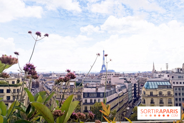 Photos Mun Rooftop Champs-Elysées