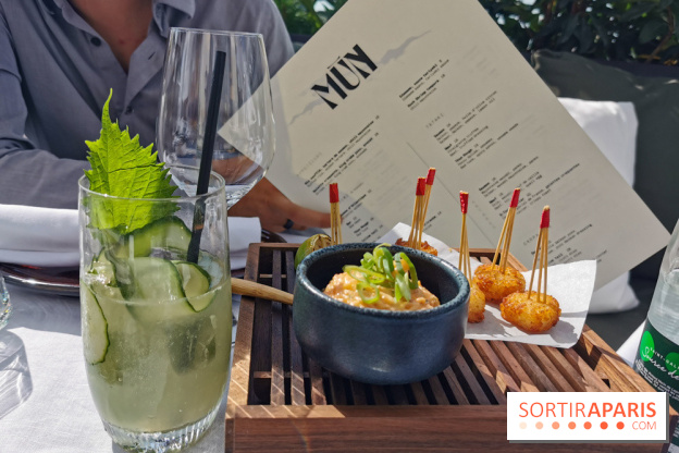 Photos Mun Rooftop Champs-Elysées