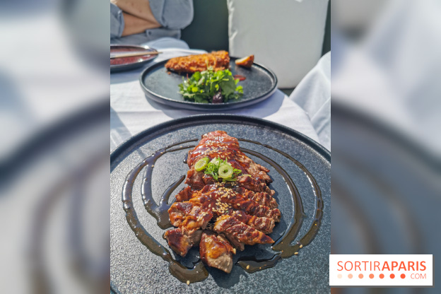 Photos Mun Rooftop Champs-Elysées