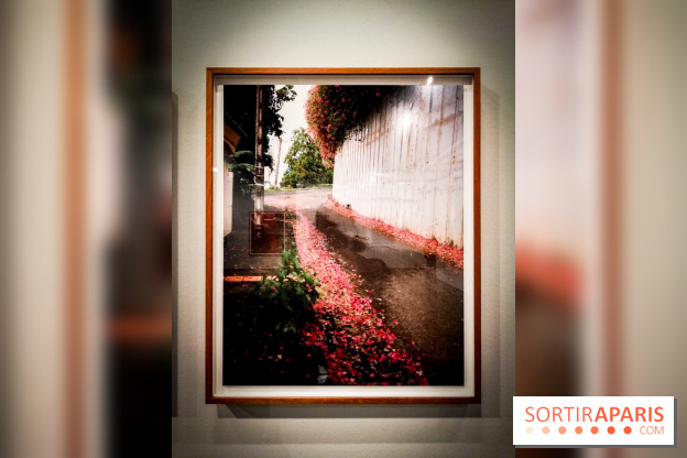 Soleil cou coupé, l'expo photo de Gregory Halpern à la Fondation Henri Cartier-Bresson