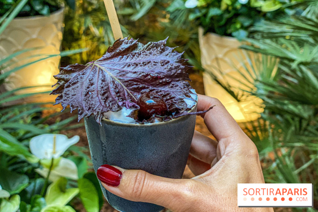 Photos bar 19.20 au Prince de Galles