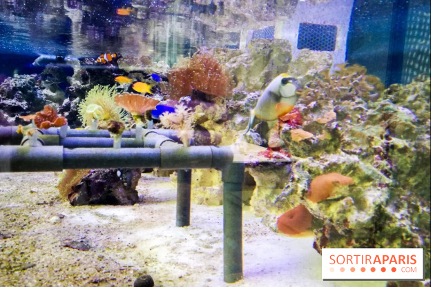 Bio-inspirée, la nouvelle expo permanente à la Cité des Sciences et de l'Industrie