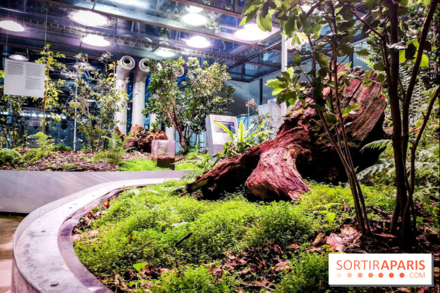 Bio-inspirée, la nouvelle expo permanente à la Cité des Sciences et de l'Industrie