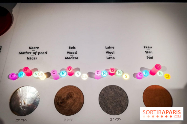 Bio-inspirée, la nouvelle expo permanente à la Cité des Sciences et de l'Industrie