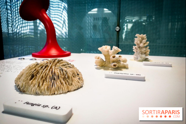 Bio-inspirée, la nouvelle expo permanente à la Cité des Sciences et de l'Industrie