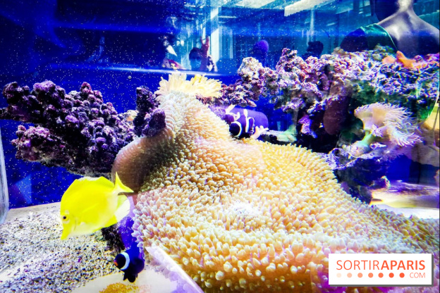 Bio-inspirée, la nouvelle expo permanente à la Cité des Sciences et de l'Industrie