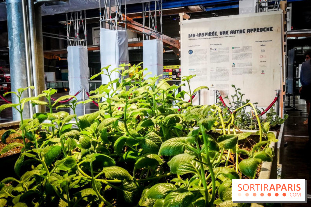 Bio-inspirée, la nouvelle expo permanente à la Cité des Sciences et de l'Industrie