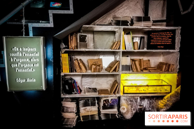 Mythologies du poisson rouge, l'exposition de l'Appart Renoma, nos photos