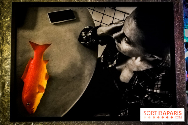 Mythologies du poisson rouge, l'exposition de l'Appart Renoma, nos photos