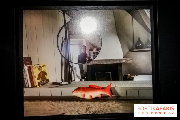 Mythologies du poisson rouge, l'exposition de l'Appart Renoma, nos photos