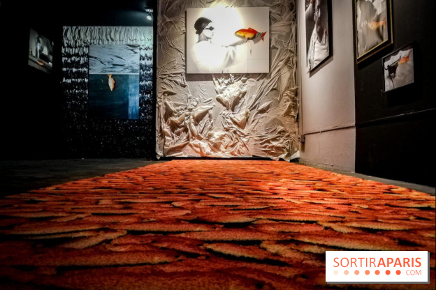 Mythologies du poisson rouge, l'exposition de l'Appart Renoma, nos photos