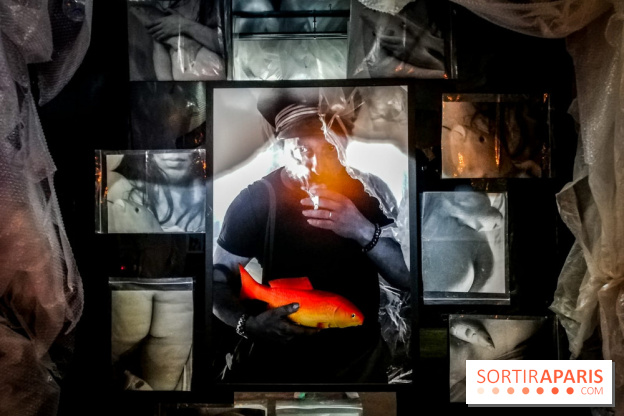 Mythologies du poisson rouge, l'exposition de l'Appart Renoma, nos photos