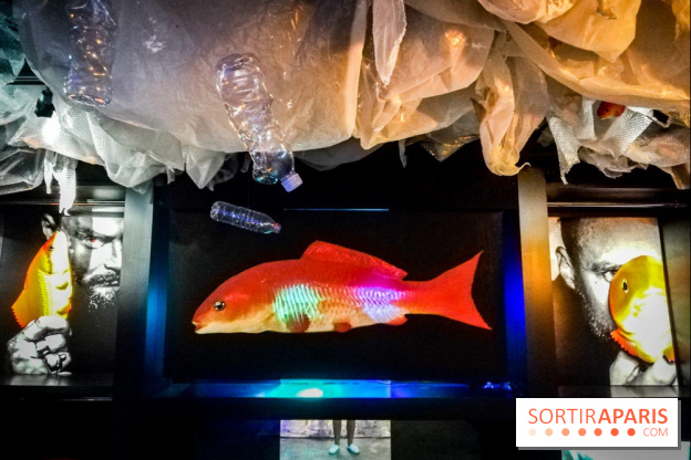 Mythologies du poisson rouge, l'exposition de l'Appart Renoma, nos photos