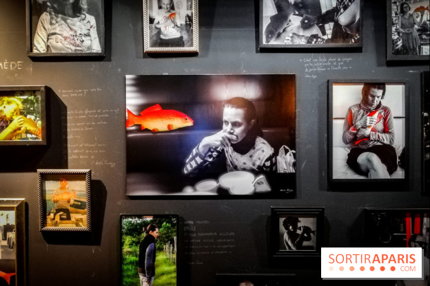 Mythologies du poisson rouge, l'exposition de l'Appart Renoma, nos photos