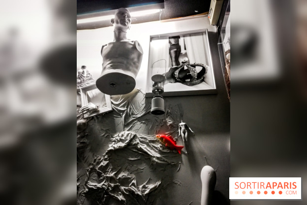 Mythologies du poisson rouge, l'exposition de l'Appart Renoma, nos photos