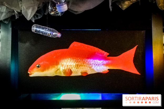 Mythologies du poisson rouge, l'exposition de l'Appart Renoma, nos photos