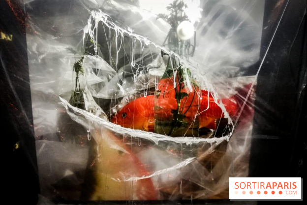 Mythologies du poisson rouge, l'exposition de l'Appart Renoma, nos photos