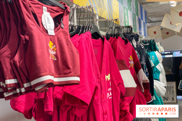 Brassière et tunique Gryffondor