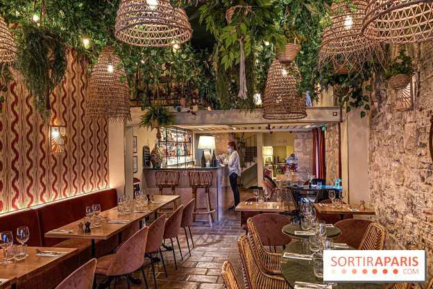 Photos : Restaurant Javette, Bistrot et Bar à Vin