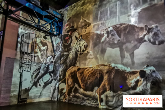 Photos : Exposition immersive Jimmy Nelson : The last sentinels à l’Atelier des Lumières 