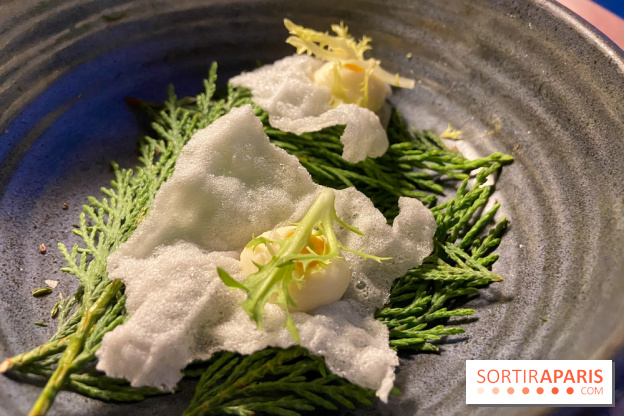 Le Domaine de la Corniche