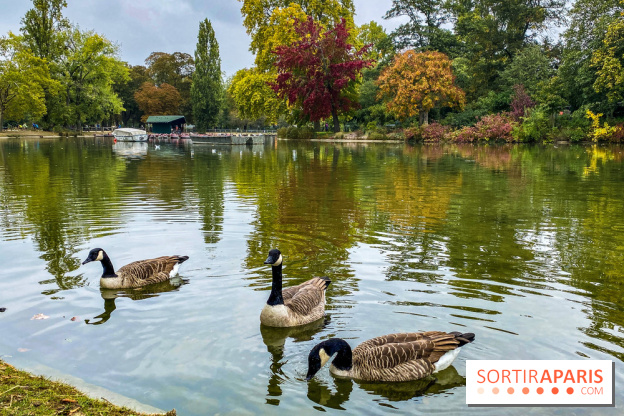 Visuel Paris, Lac Daumesnil bois de Vincennes