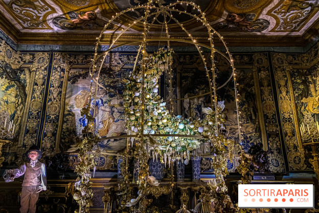 Photos : Vaux-le-vicomte en Lumières lune