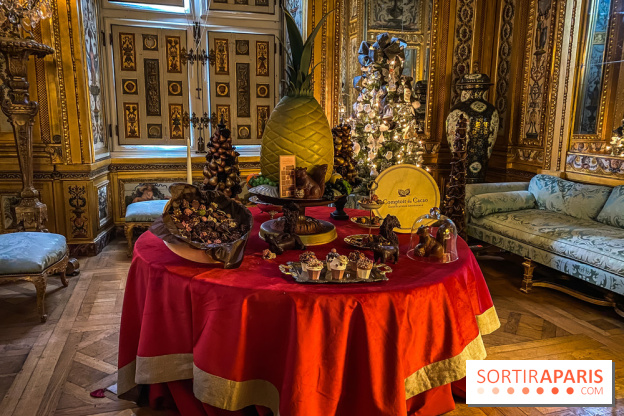 Photos : Vaux-le-vicomte en Lumières cacao