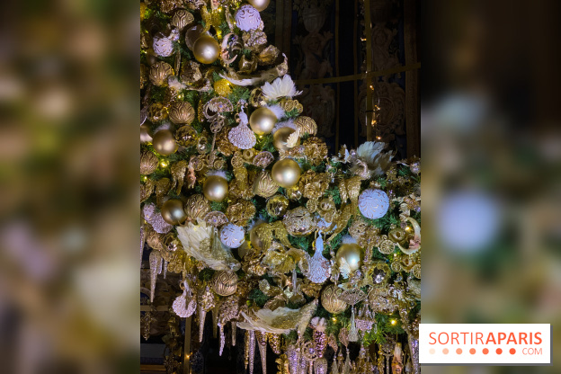 Photos : Vaux-le-vicomte en Lumières