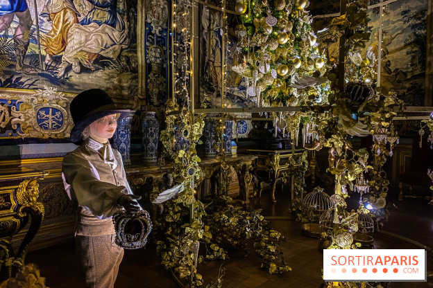 Photos : Vaux-le-vicomte en Lumières