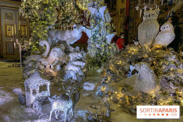Photos : Vaux-le-vicomte en Lumières animaux