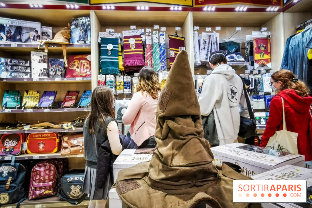 Boutique Wizarding World Harry Potter au Village JouéClub