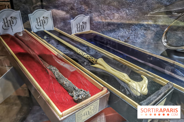 Boutique Wizarding World Harry Potter au Village JouéClub