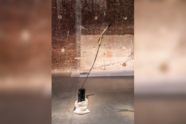 Exposition Anticorps au Palais de Tokyo