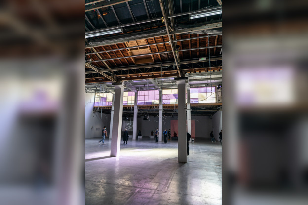 Exposition Anticorps au Palais de Tokyo