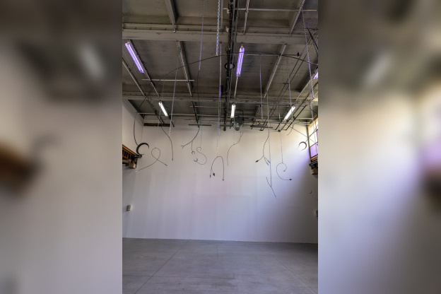 Exposition Anticorps au Palais de Tokyo