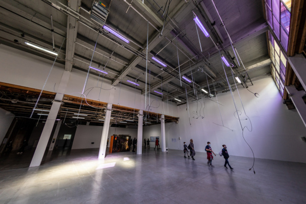 Exposition Anticorps au Palais de Tokyo