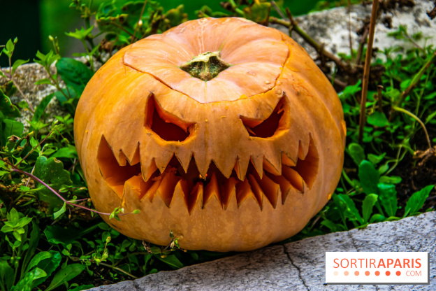 Halloween 2020 : comment creuser sa citrouille ? Le tuto