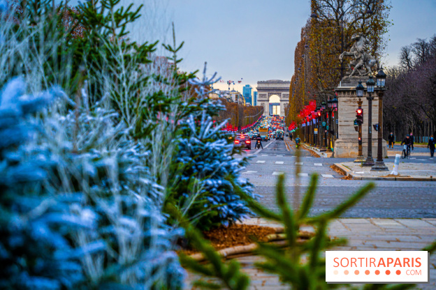 Photos : Illuminations et sapins de Noël Place de la Concorde