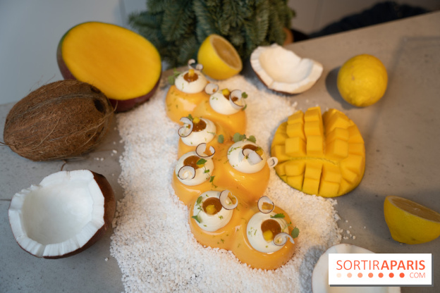 Photos : Les Bûches de Noël de Yann Menguy à la Goutte d'Or Pâtisserie 2020