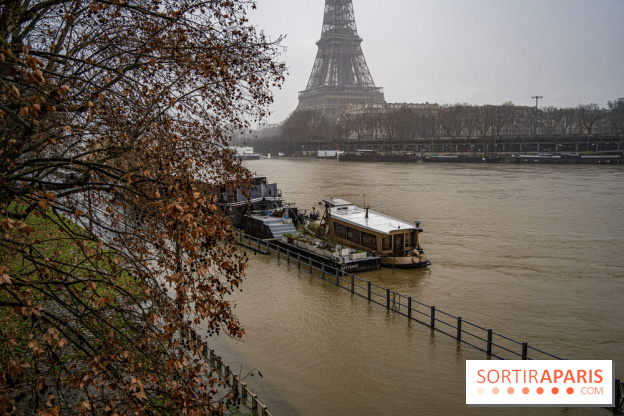 La Seine en crue février 2021