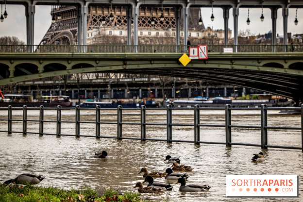 La Seine en crue février 2021
