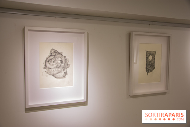 Exposition Bom.K à la galerie Joël Knafo