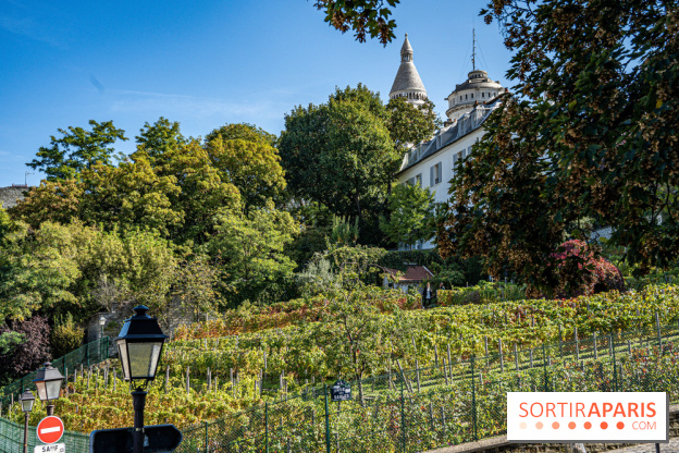 Montmartre Paris - fete des vendanges